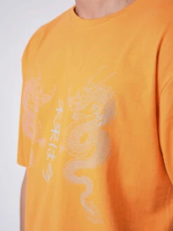 Tee-Shirt Design Dragons