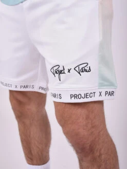 Short à Bandes Dégradées